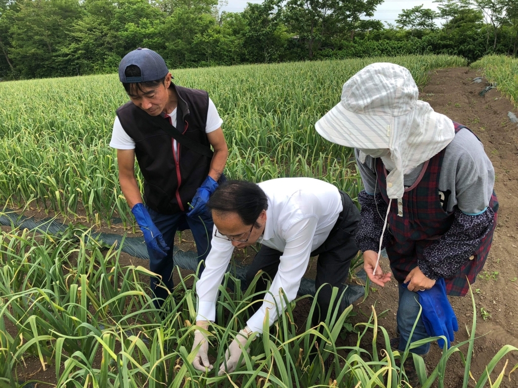 f:id:ibukista:20180612171018j:plain f:id:ibukista:20180612171018j:plain