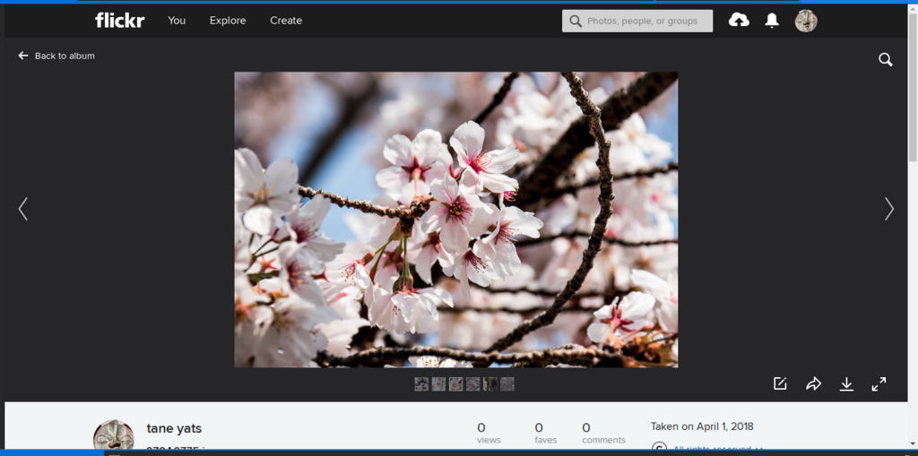 f:id:ibuquicallig:20180405232347p:plain f:id:ibuquicallig:20180405232347p:plain