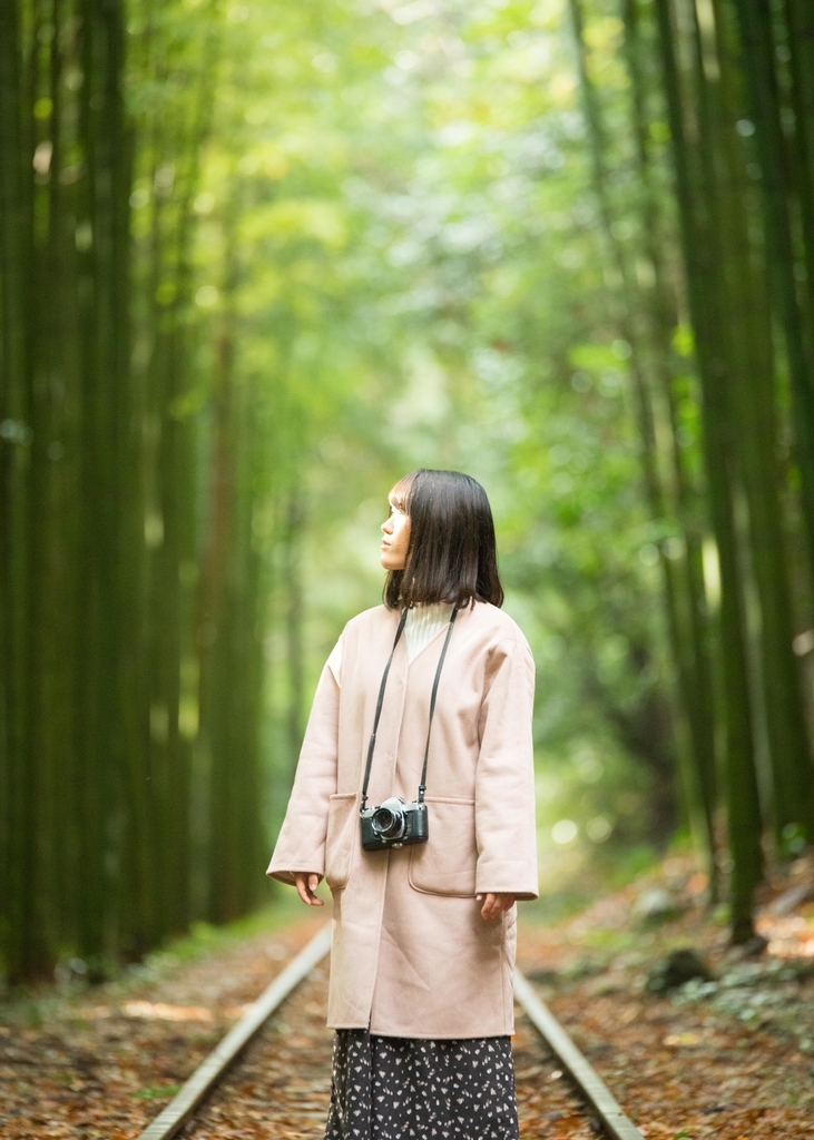 f:id:ibushou8316:20181221053335j:plain
