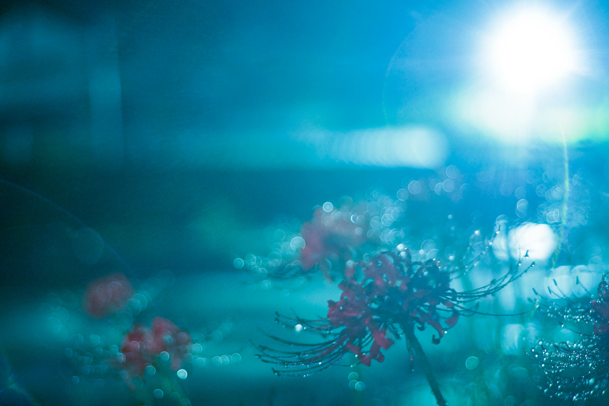 f:id:ibushou8316:20190906230228j:plain