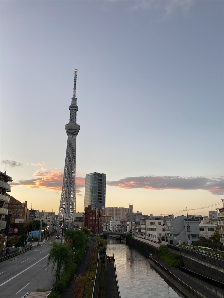 f:id:ic6t:20201123205744j:image f:id:ic6t:20201123205744j:image