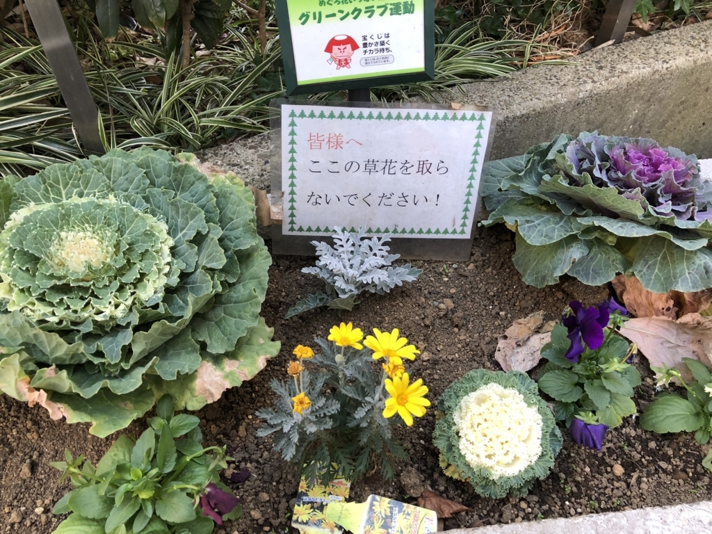f:id:icchiryu:20171231095148j:plain f:id:icchiryu:20171231095148j:plain
