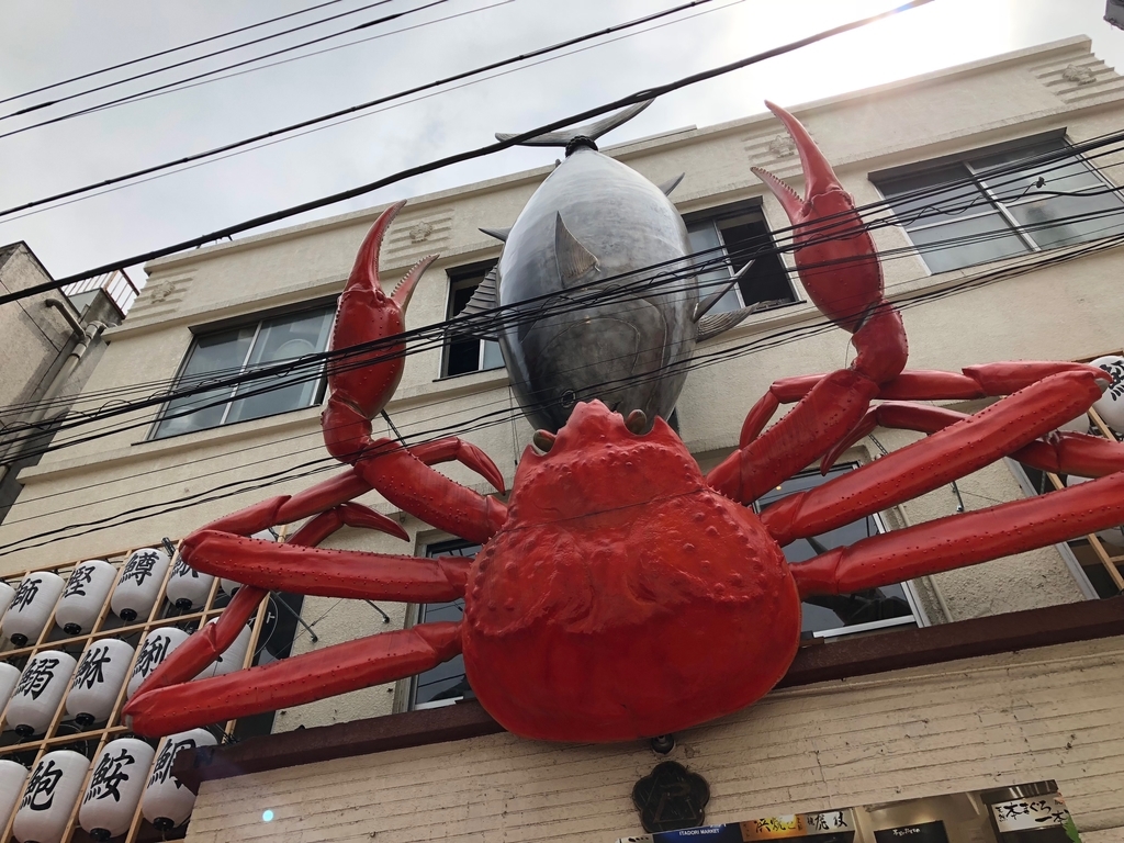 f:id:icchiryu:20190202225457j:plain