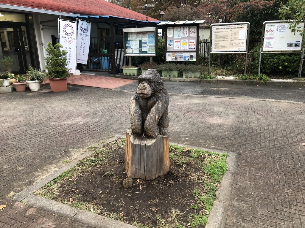 f:id:icchiryu:20190204215537j:plain