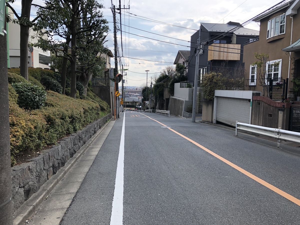 f:id:icchiryu:20190321231920j:plain