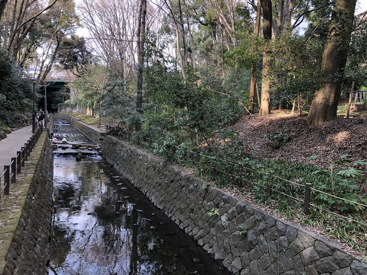 f:id:icchiryu:20190323001352j:plain