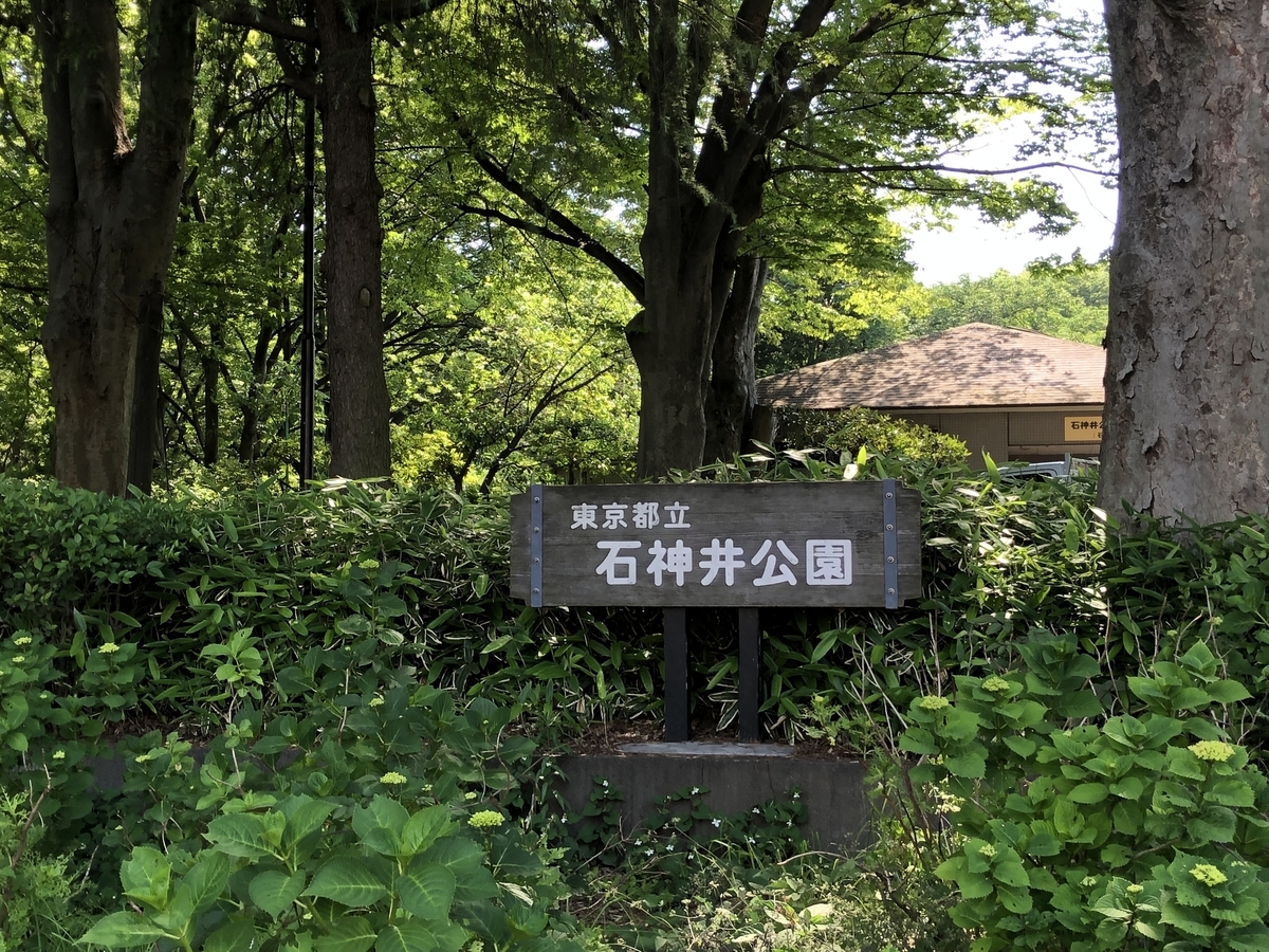 f:id:icchiryu:20190529212152j:plain