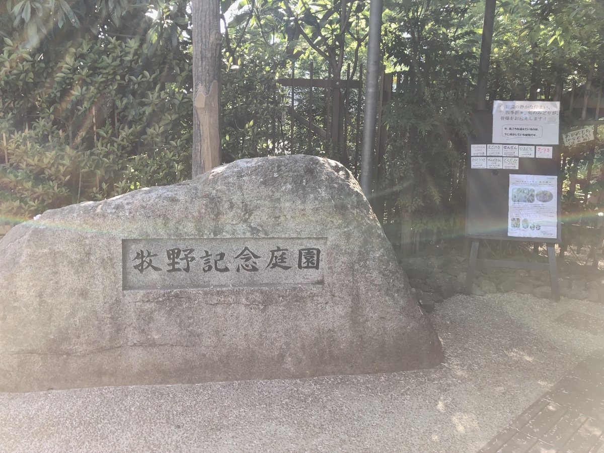 f:id:icchiryu:20190530225144j:plain