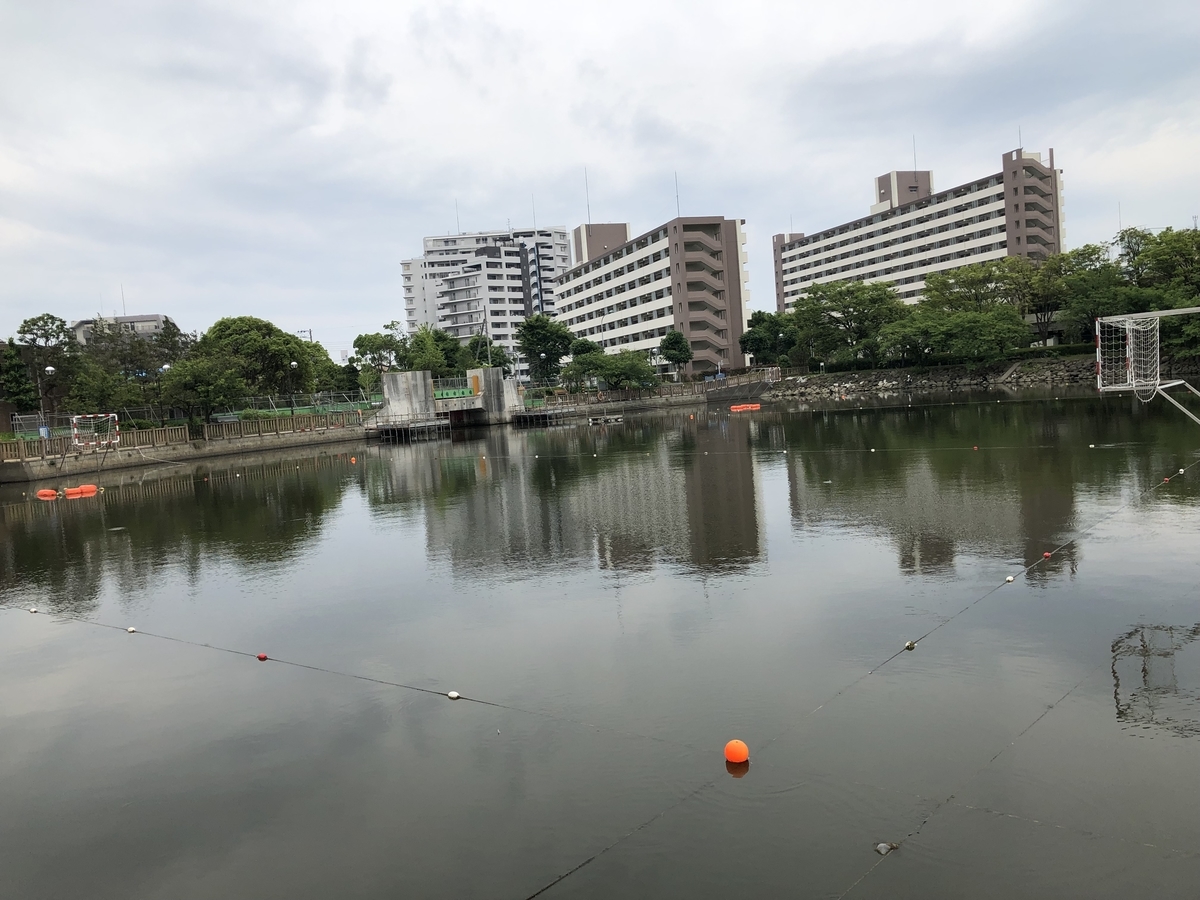 f:id:icchiryu:20190615125441j:plain f:id:icchiryu:20190615125441j:plain