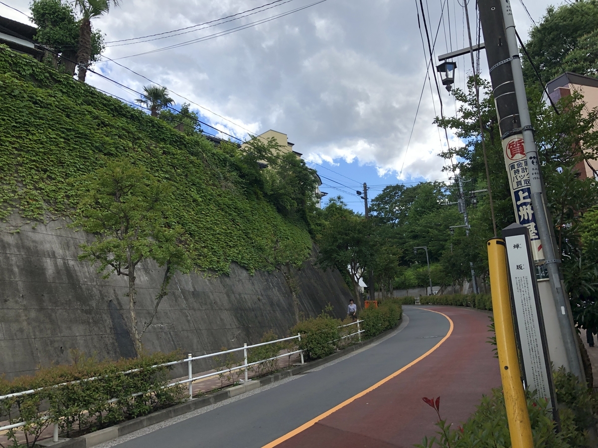 f:id:icchiryu:20190620233730j:plain