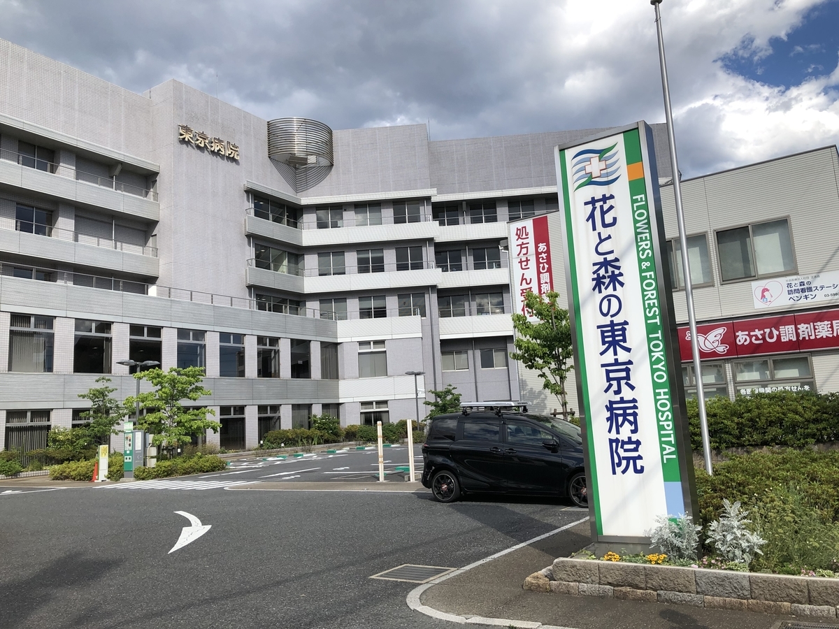 f:id:icchiryu:20190622231227j:plain