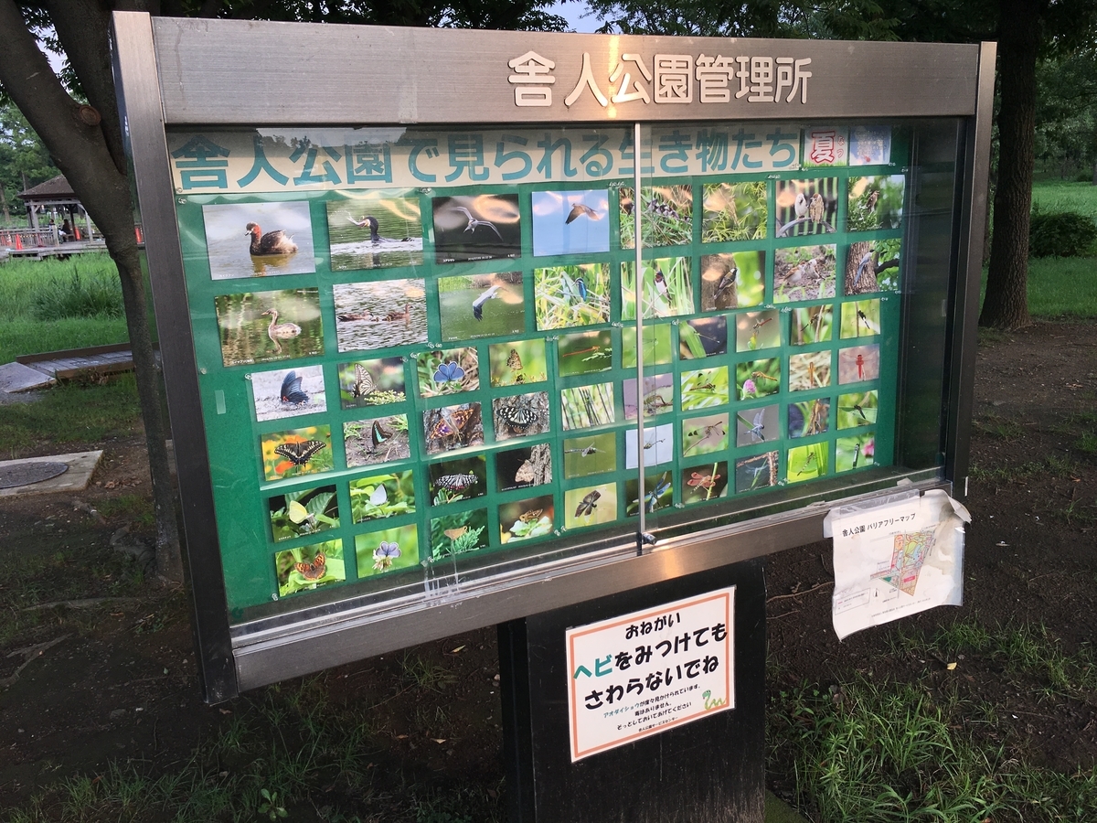 f:id:icchiryu:20190702234237j:plain