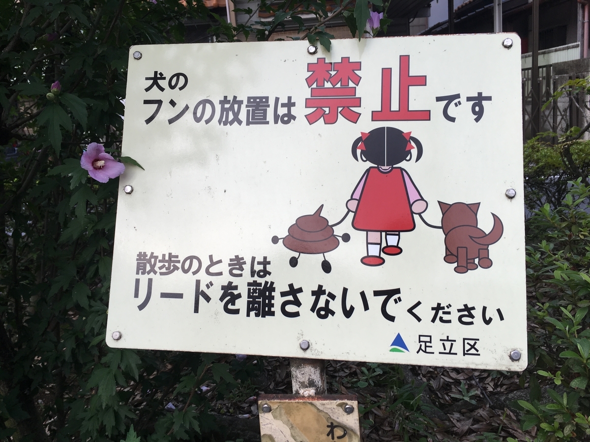 f:id:icchiryu:20190703002531j:plain