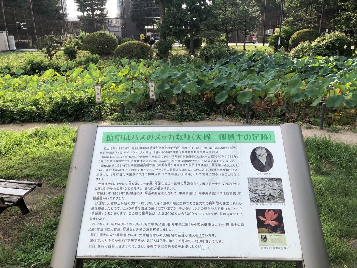 f:id:icchiryu:20190818195114j:plain