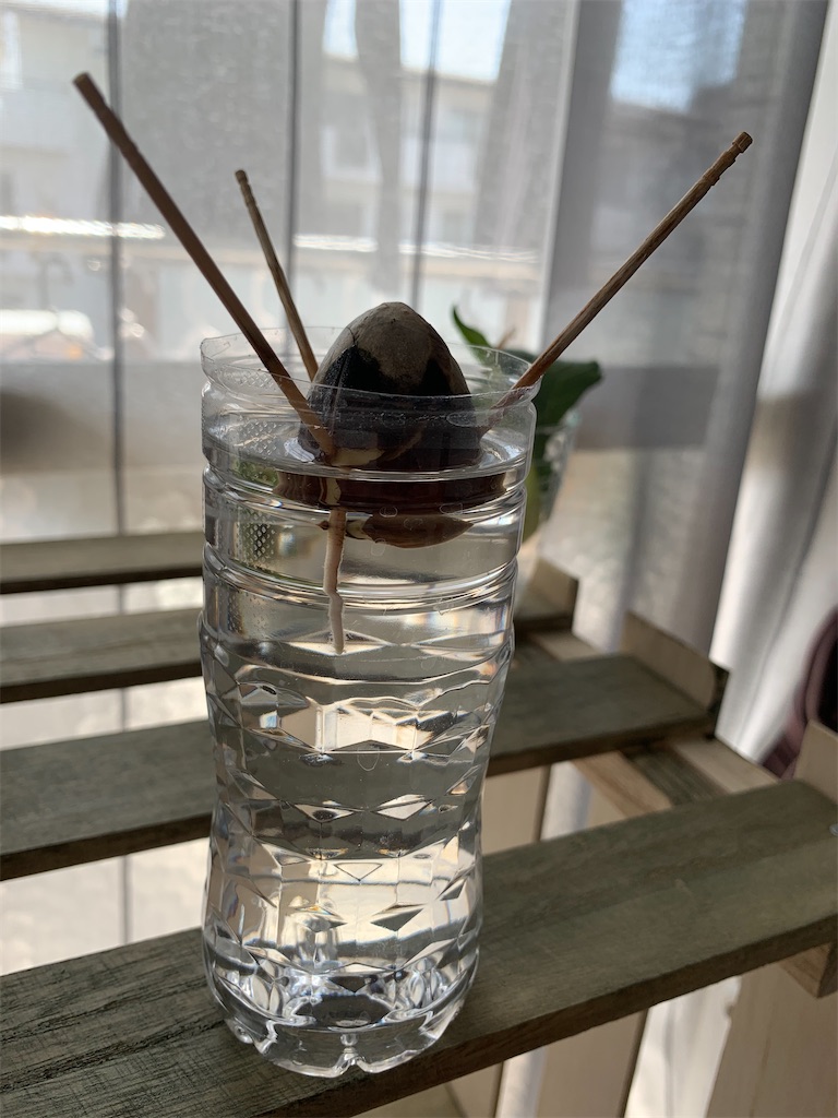 f:id:ice365days:20210316100934j:image