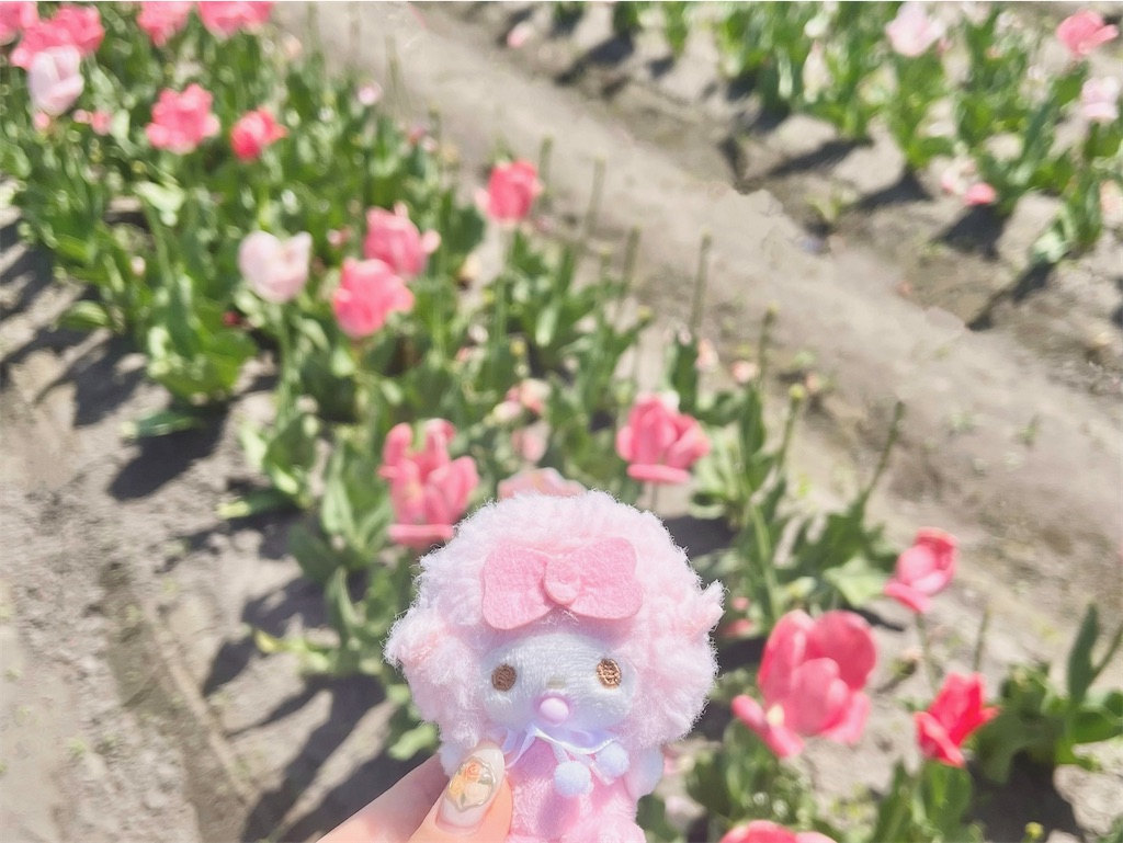 f:id:icecreamomo:20240813082126j:image f:id:icecreamomo:20240813082126j:image