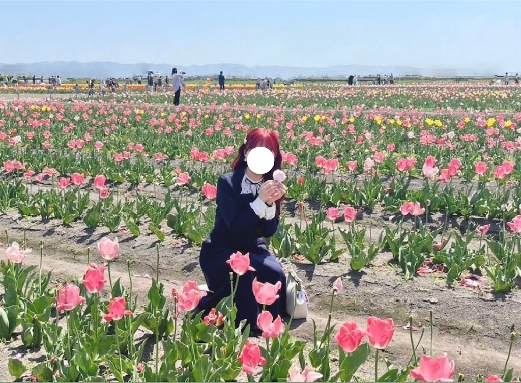 f:id:icecreamomo:20240927175209j:image f:id:icecreamomo:20240927175209j:image