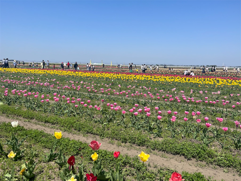 f:id:icecreamomo:20240927175559j:image f:id:icecreamomo:20240927175559j:image