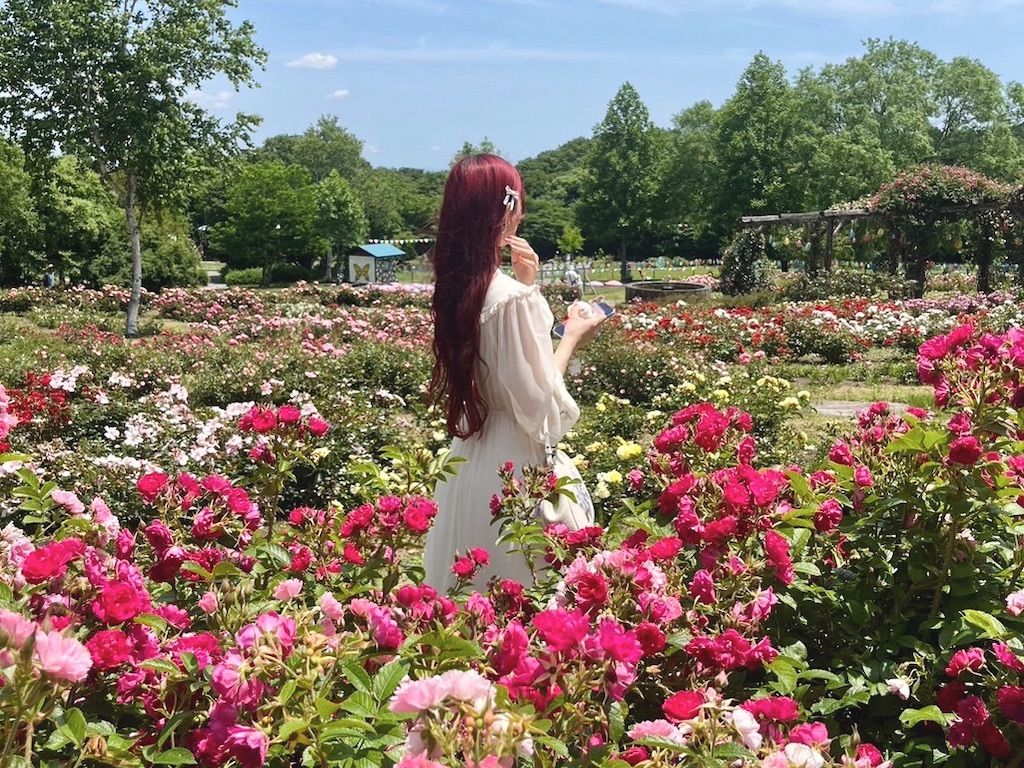 f:id:icecreamomo:20240929171351j:image f:id:icecreamomo:20240929171351j:image