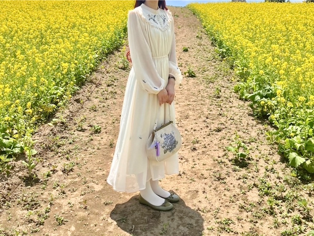 f:id:icecreamomo:20240929171356j:image f:id:icecreamomo:20240929171356j:image