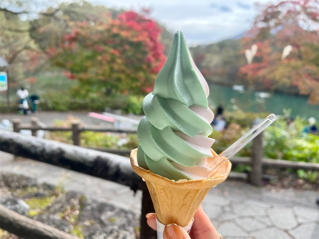 f:id:icecreamomo:20241101162428j:image