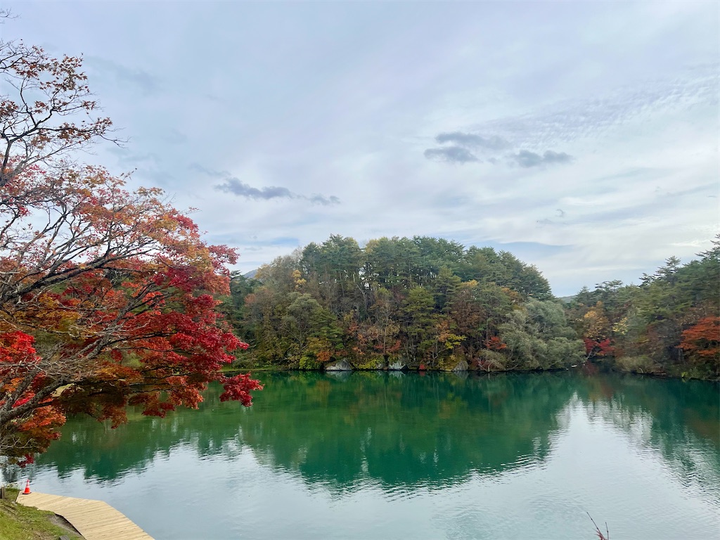 f:id:icecreamomo:20241102231855j:image