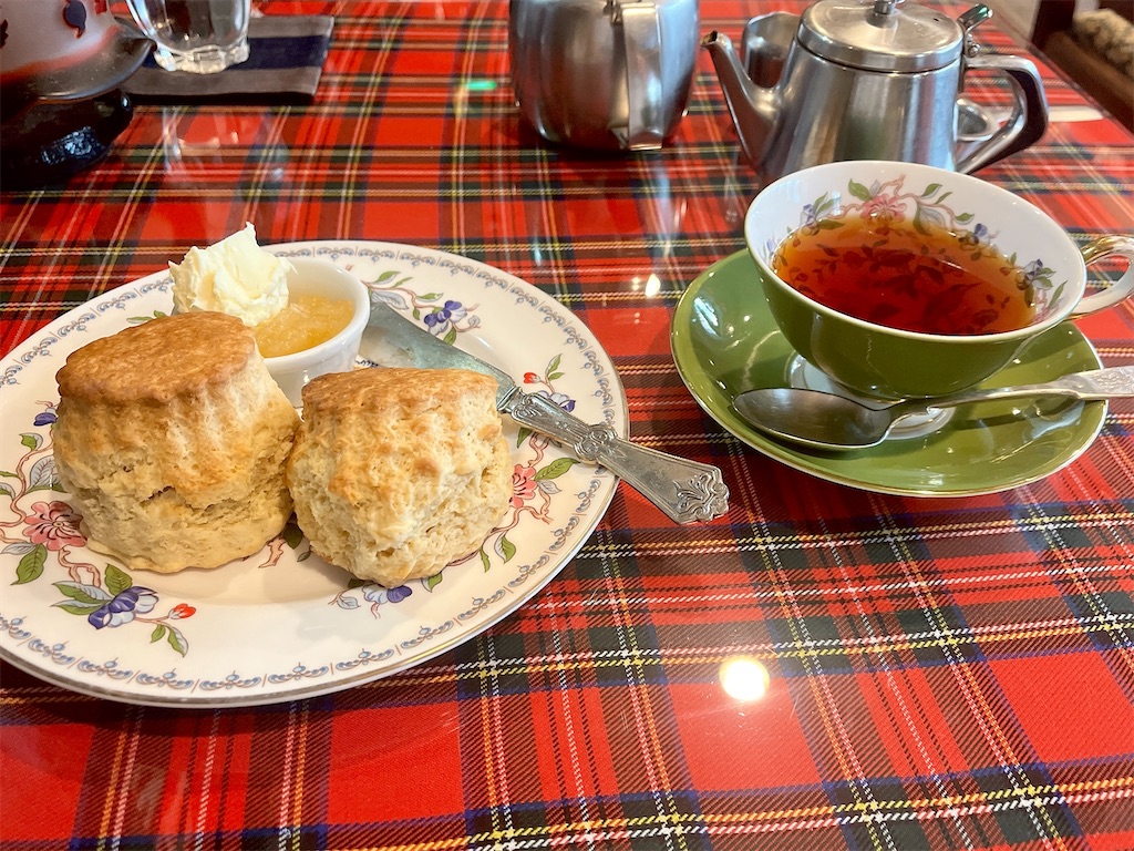 f:id:icecreamomo:20241111225411j:image