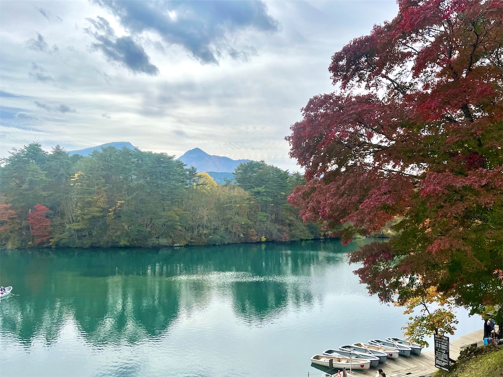 f:id:icecreamomo:20241119013829j:image