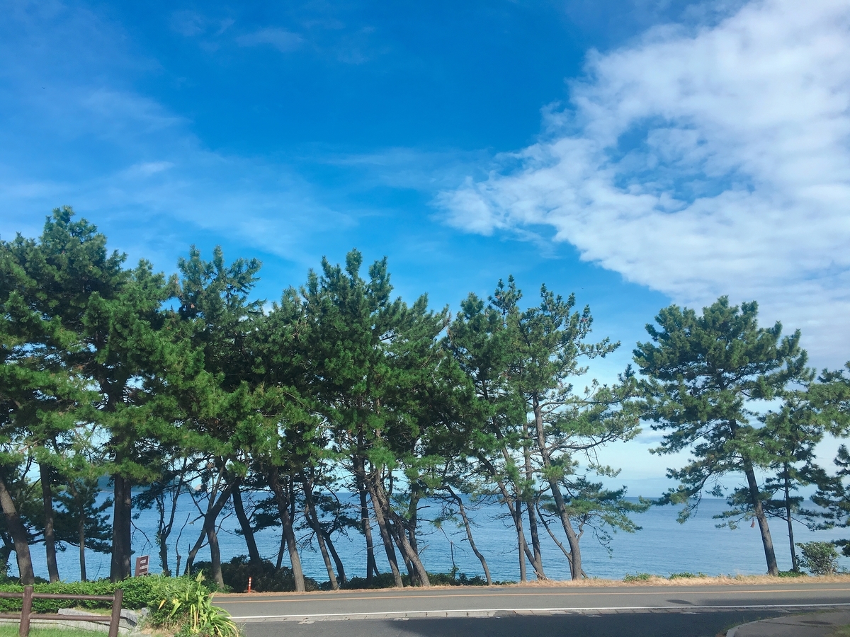 f:id:ich1_one:20190404030633j:plain f:id:ich1_one:20190404030633j:plain