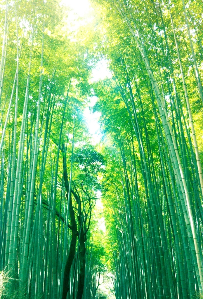 f:id:ich888yu:20171110233156j:plain f:id:ich888yu:20171110233156j:plain