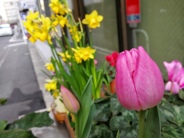 f:id:ichapy:20180227145935j:image