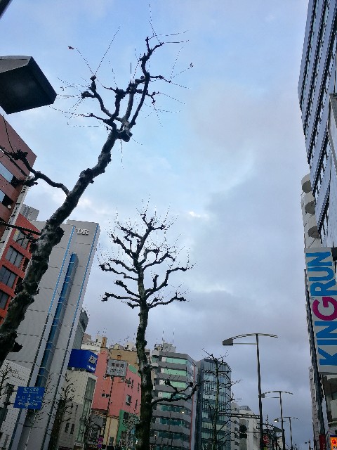 f:id:ichapy:20180309074054j:image