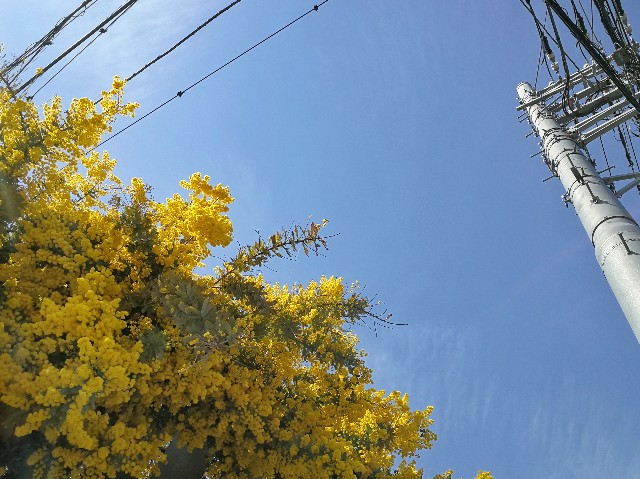 f:id:ichapy:20180314072210j:image