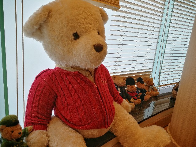 f:id:ichapy:20180430202458j:image