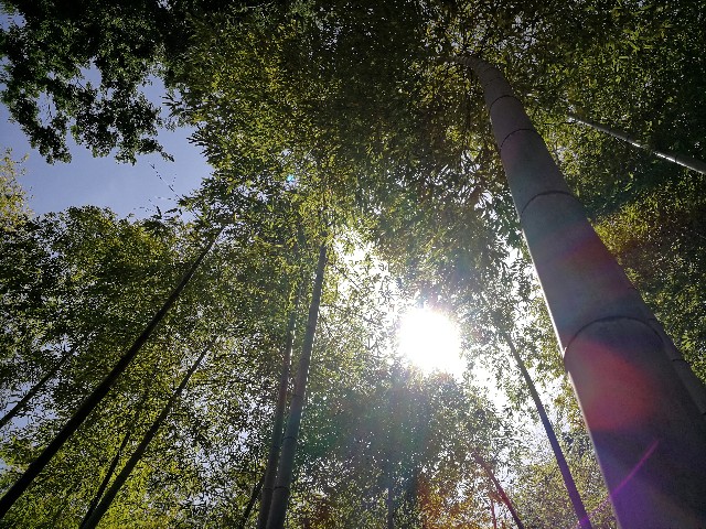 f:id:ichapy:20180524074815j:image