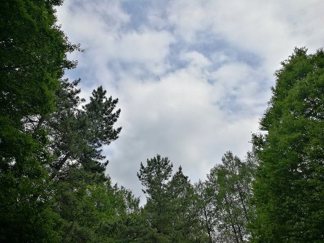 f:id:ichapy:20180619071535j:image