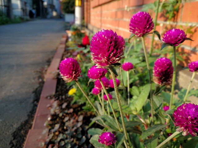 f:id:ichapy:20180622065431j:image