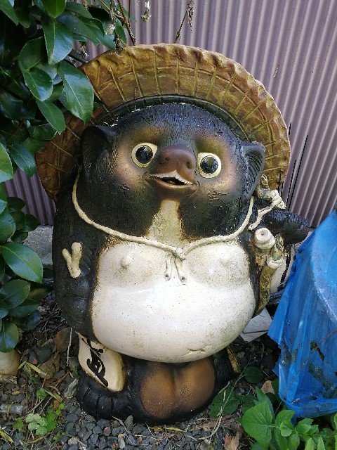 f:id:ichapy:20181204065220j:image