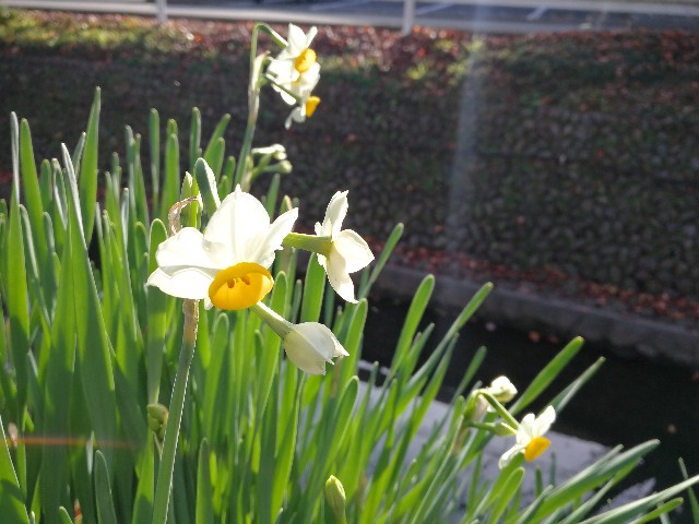 f:id:ichapy:20181208060941j:image f:id:ichapy:20181208060941j:image