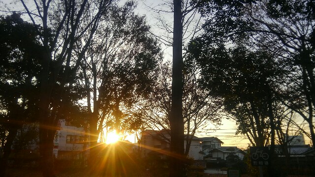 f:id:ichapy:20190115102912j:image