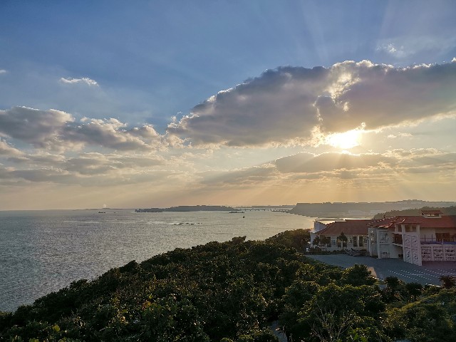 f:id:ichapy:20190125064313j:image f:id:ichapy:20190125064313j:image