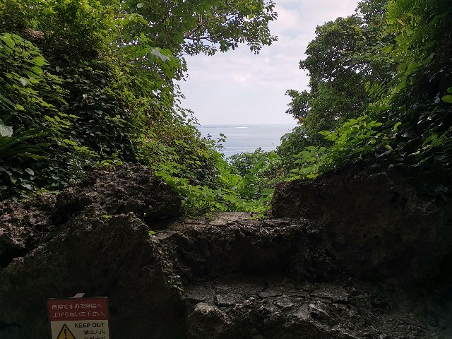 f:id:ichapy:20190126080656j:image