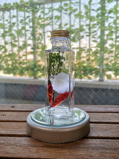 f:id:ichapy:20190131174341j:image f:id:ichapy:20190131174341j:image