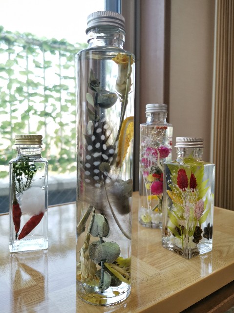 f:id:ichapy:20190131175612j:image f:id:ichapy:20190131175612j:image