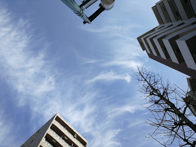 f:id:ichapy:20190206171349j:image