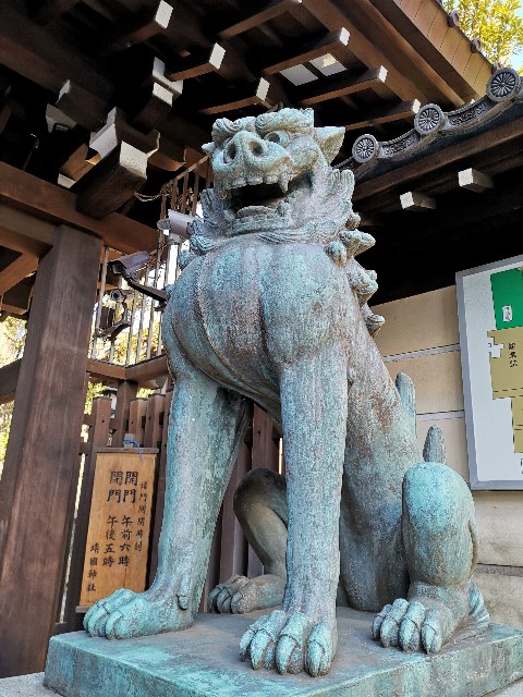 f:id:ichapy:20190214190931j:image f:id:ichapy:20190214190931j:image