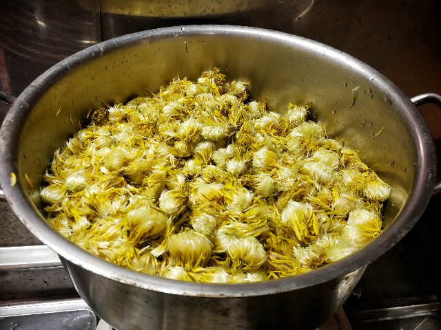 f:id:ichapy:20190408002145j:image f:id:ichapy:20190408002145j:image