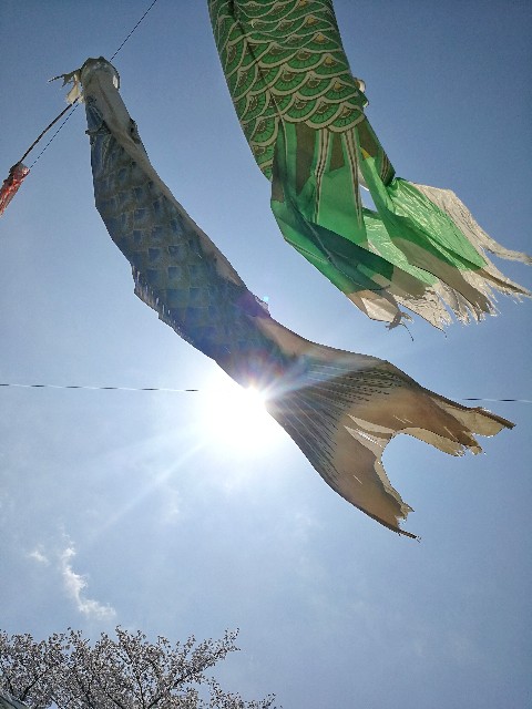 f:id:ichapy:20190410232230j:image