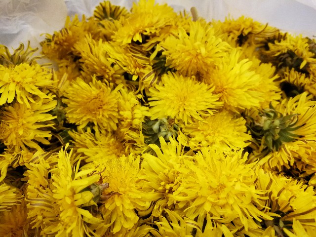 f:id:ichapy:20190412161012j:image