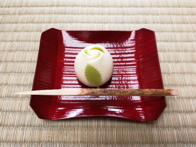 f:id:ichapy:20190517171227j:image